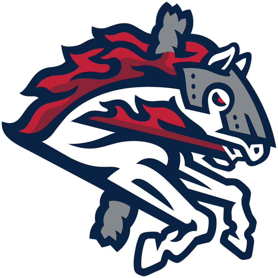 Binghamton Rumble Ponies 2017-Pres Alternate Logo v2 iron on heat transfer